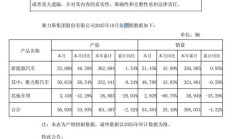 赛力斯 10 月汽车销量 48788 辆，同比增长 43.83%