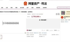 手机号275万元拍出！归属地为枣庄