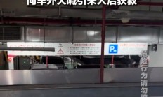 女子停车时低头回手机信息 被连人带车升到空中 向车外大喊后获救 !