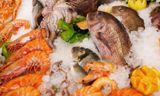 
        		6岁娃沙滩光脚踩到死鱼进了ICU 妈妈：感染创伤弧菌 !	