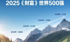 比亚迪迈入全球百强！跃居2025《财富》世界500强第91位