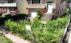 因花园太丑！纽约一华人女子被罚2000美元：申诉4次暂时和解