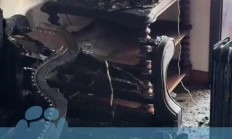 四川成都一男子未拔充电器引发火灾，客厅“被烧光”损失十余万元