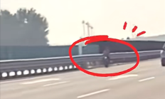 脊背发凉:女子骑电动自行车上高速 在最左侧车道逆行 !