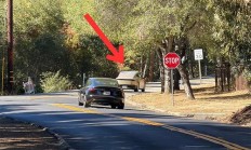 特斯拉Cybercab首次公共路测曝光:配备驾驶员与外后视镜