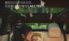 理想汽车 10 月交付 31767 辆，同比下降 38%