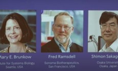 2025年诺贝尔生理学或医学奖公布!三位科学家获奖 奖励832万元 !