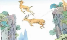 人民日报转发网友拍摄的羊群飞渡珍贵画面:瞬间想起小学课本“斑羚飞渡” !