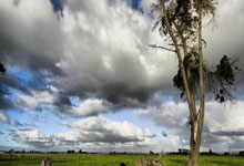 滕州张某某骑电车闯红灯被撞,负全责!视频→