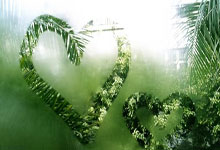 山东公安公布典型案例!涉枣庄1起