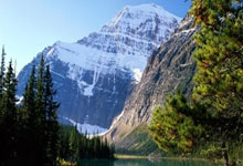 山东公安公布典型案例!涉枣庄1起